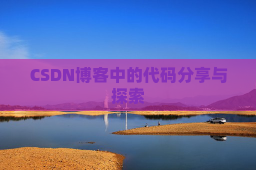 CSDN博客中的代码分享与探索